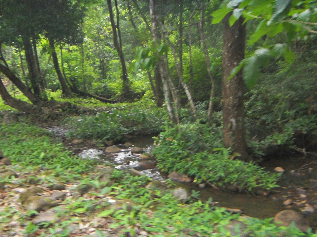 Explora Ya Eco-Tours & Adventure Travel Day Trips景点图片