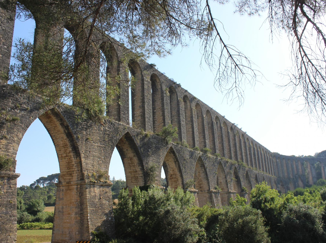 Aqueduto dos Pegões景点图片