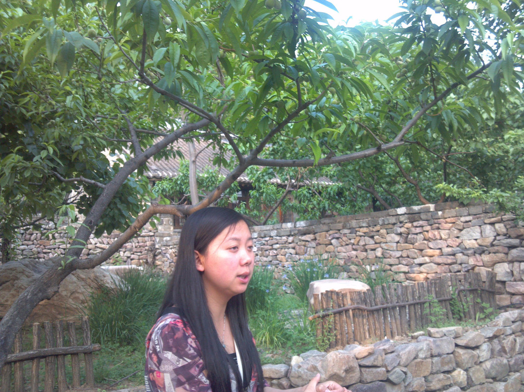 青山关-迁西县必去景点