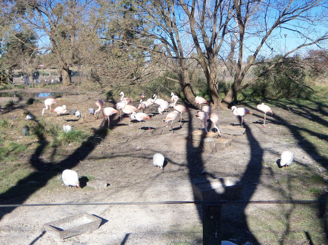 Parque Zoologico La Maxima-Olavarria必去景点