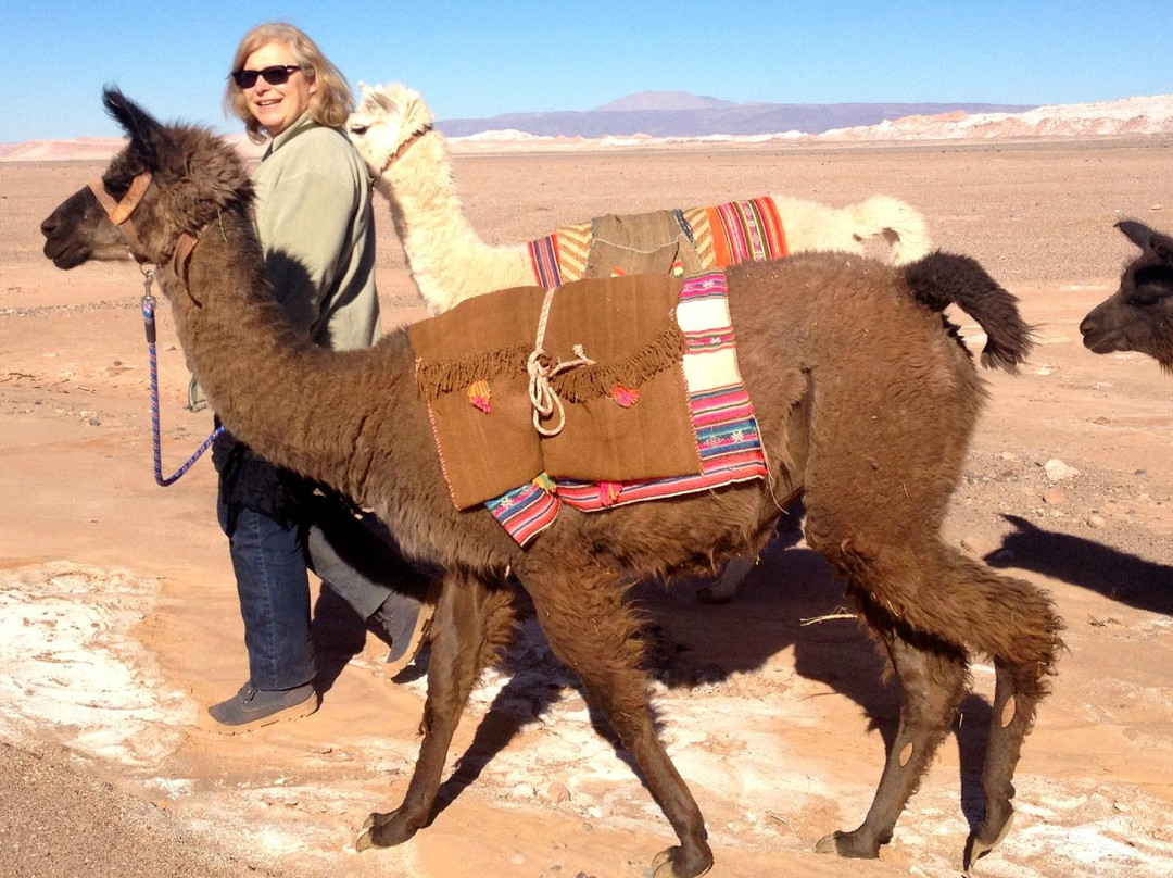 Atacama Loft & Expeditions - Tours景点图片