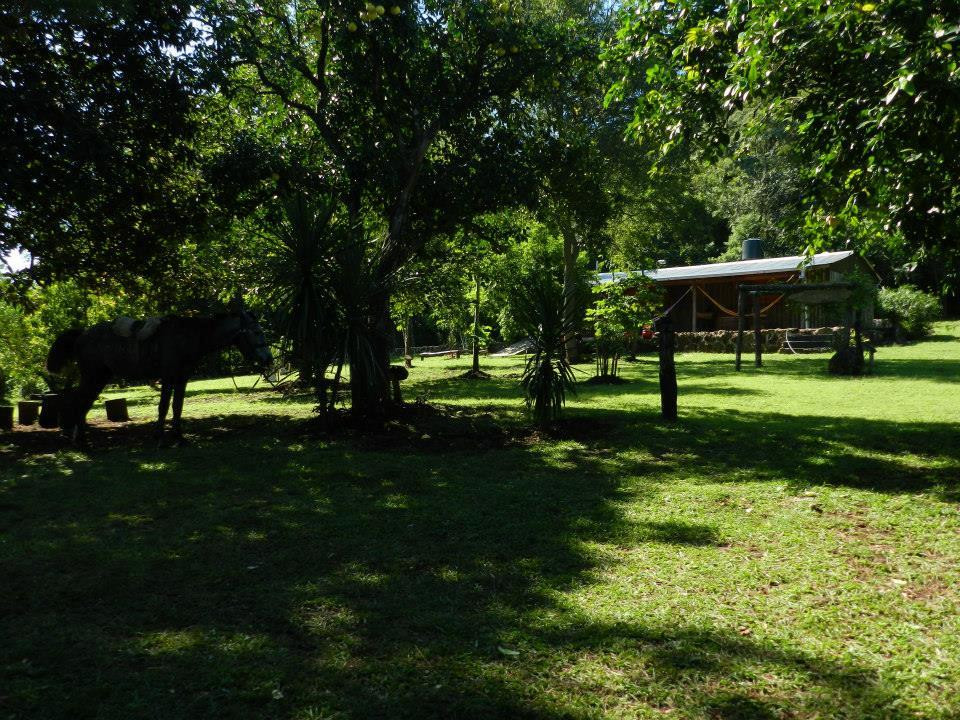 El Monte de Los Abuelos