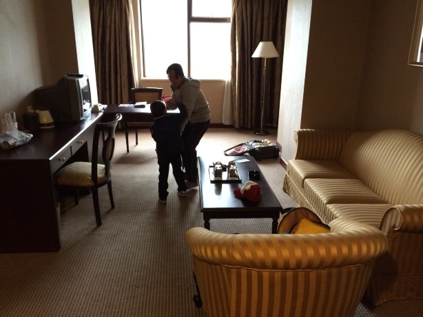 大连泰达美居酒店-客卧