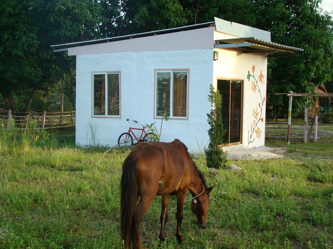 Baanrai Farmstay景点图片