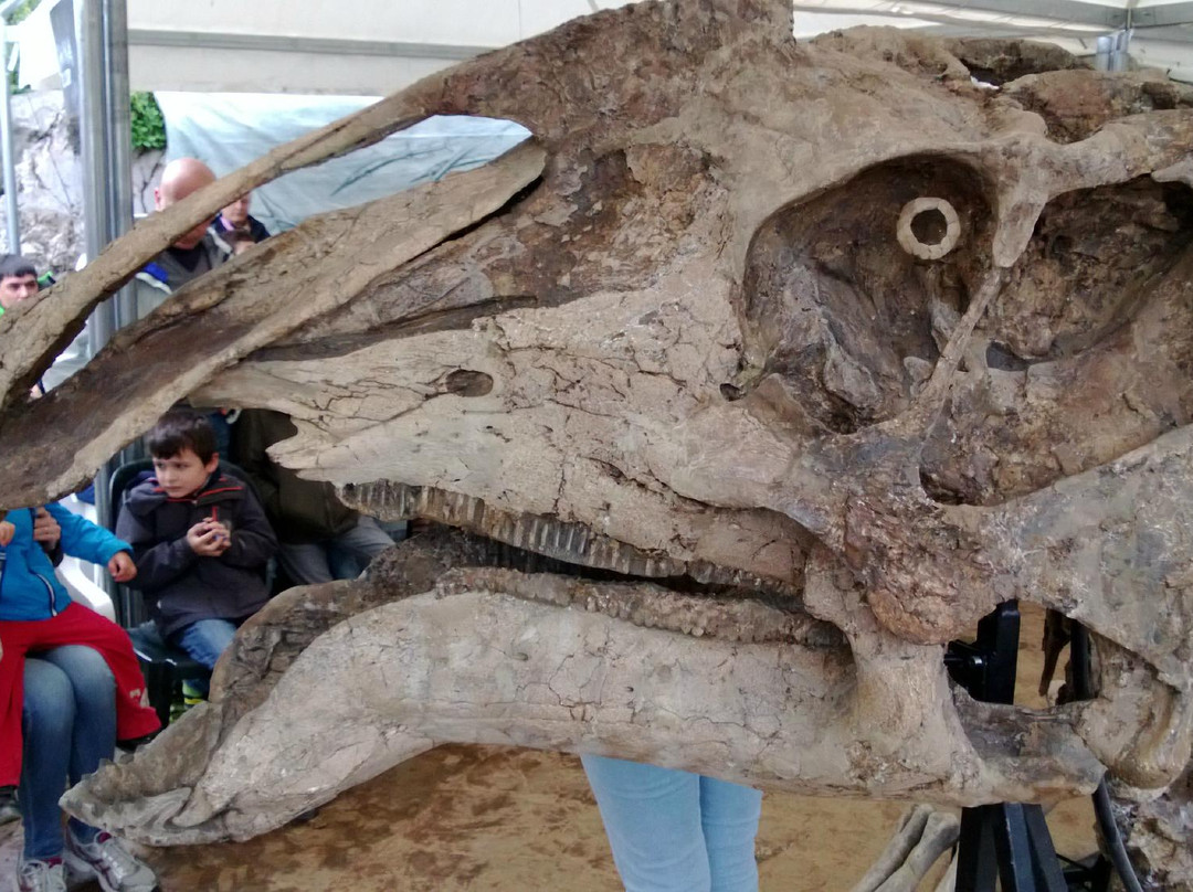 Sito Paleontologico Dinosauro Antonio景点图片