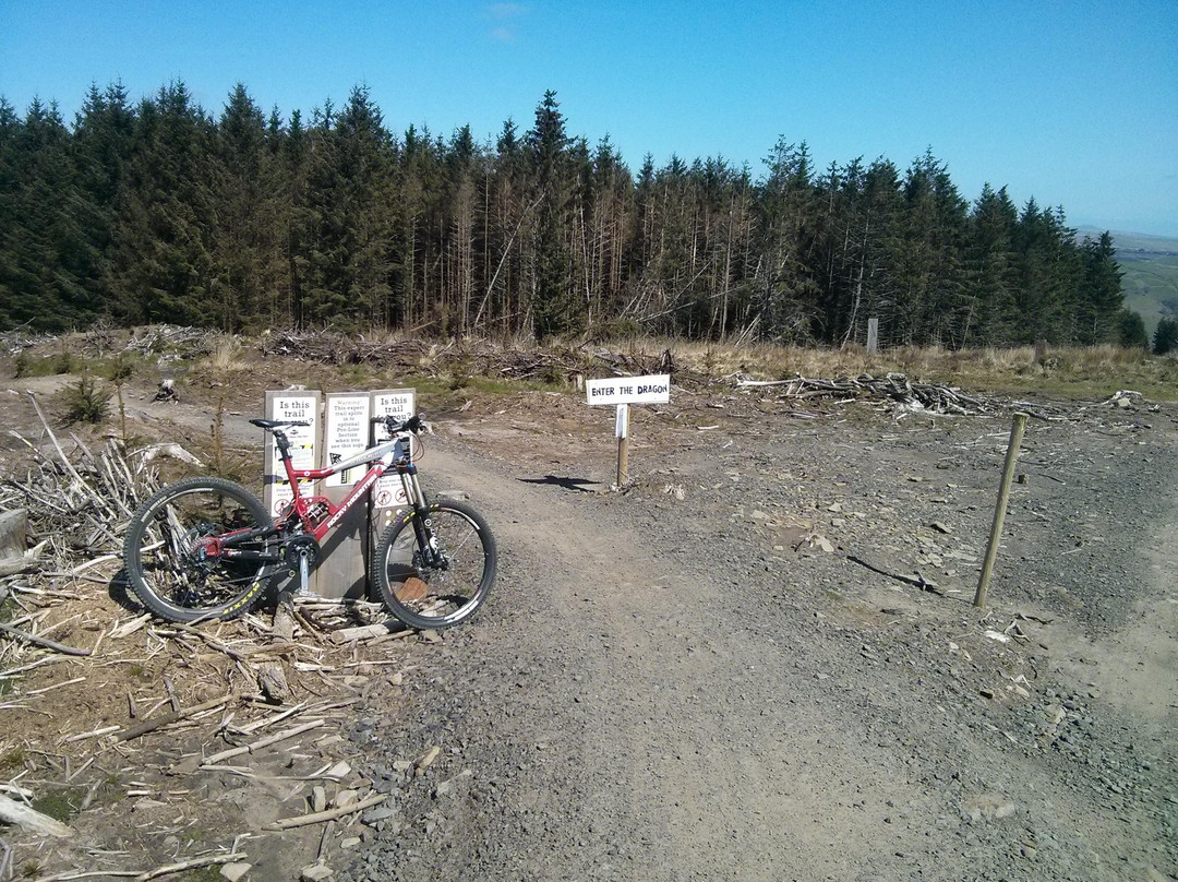 Bike Park Wales景点图片