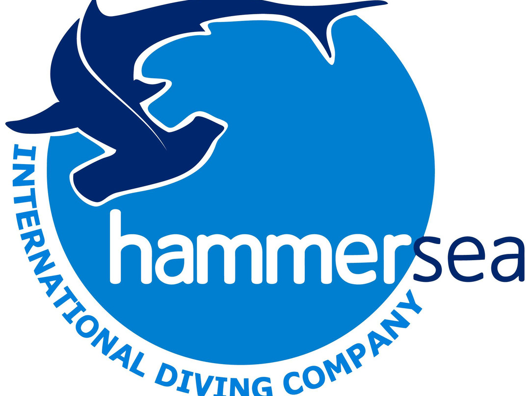 hammersea景点图片