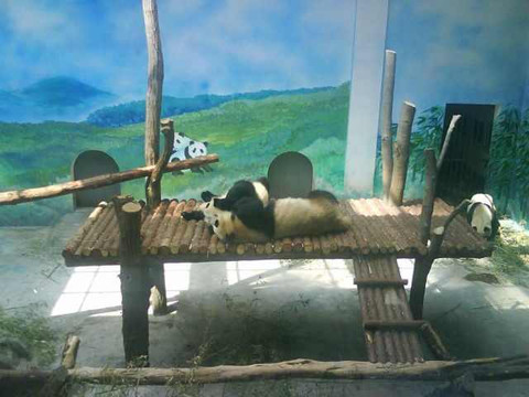 红山森林动物园-南京市必去景点