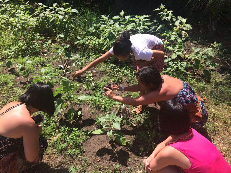 颖之泰式烹饪小屋-苏梅岛必去景点