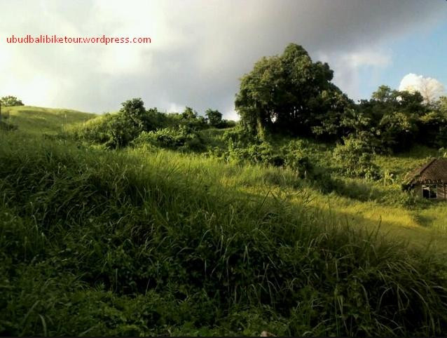 坎普罕山脊徒步线路-乌布必去景点