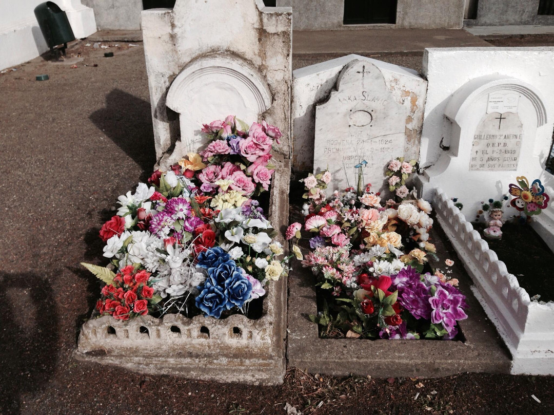 市政公墓-蓬塔阿雷纳斯必去景点