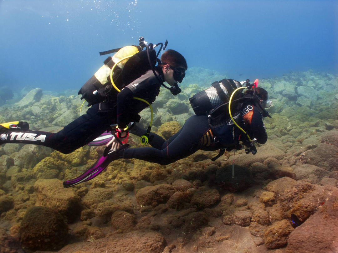 Amarilla Divers-Los Abrigos必去景点