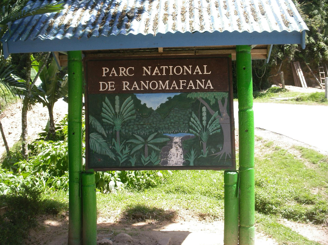 Ranomafana National Park景点图片