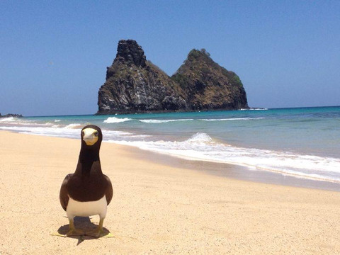 Atalaia Receptivo Noronha-费尔南多-迪诺罗尼亚群岛必去景点