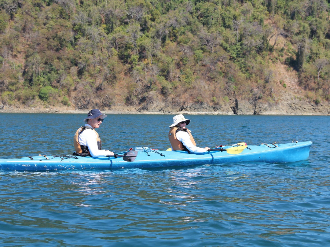 Seascape Kayak Tours景点图片
