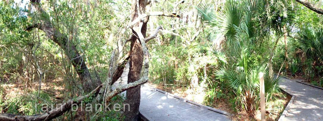 Matanzas Pass Preserve-迈尔斯堡海滩必去景点