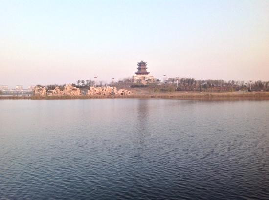 东营市旅游景点-东营天鹅湖