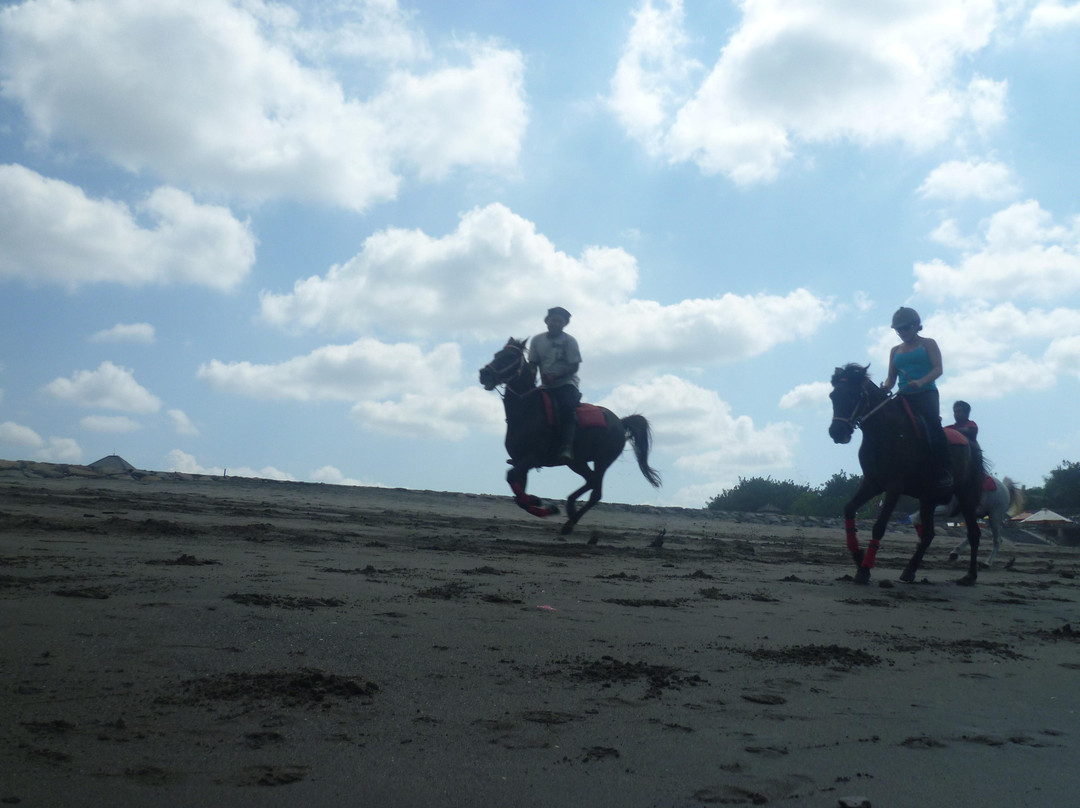 Kuda P Stables-达巴南必去景点