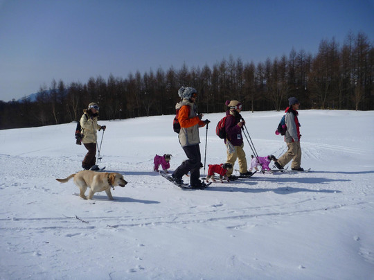 Nature Planet-日光市必去景点