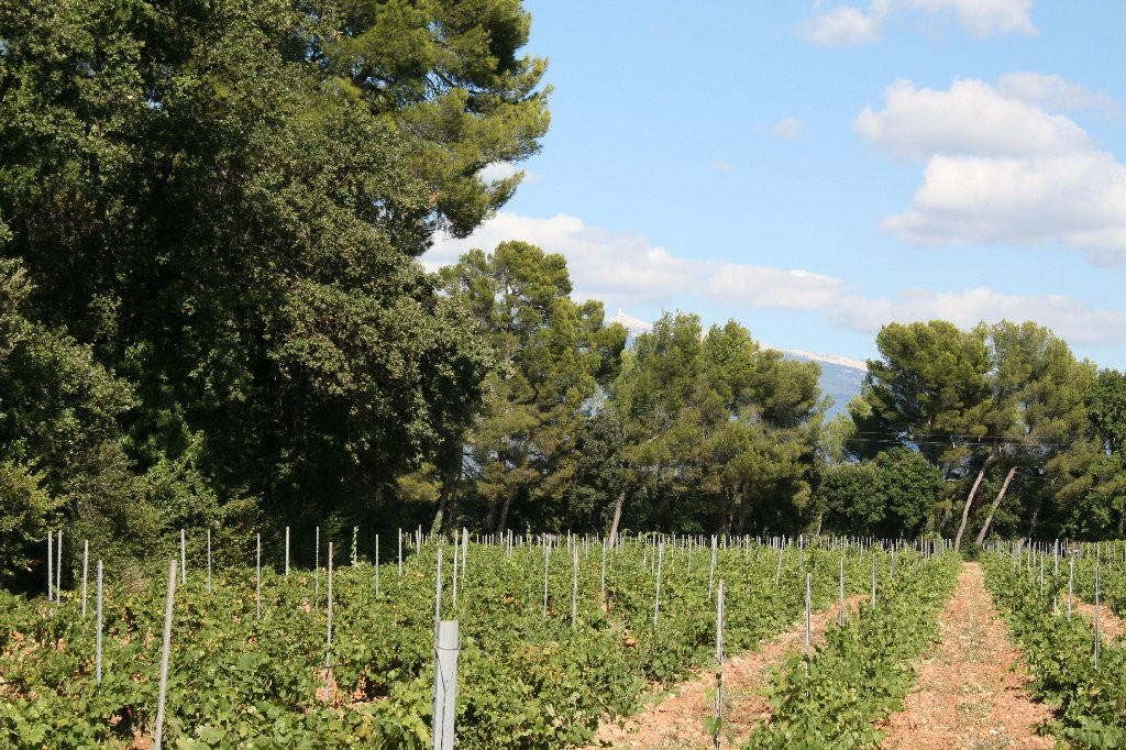 Domaine de Marotte景点图片