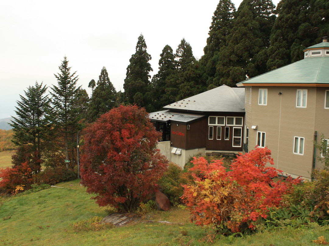 Zaobodaira Pension tooCotton
