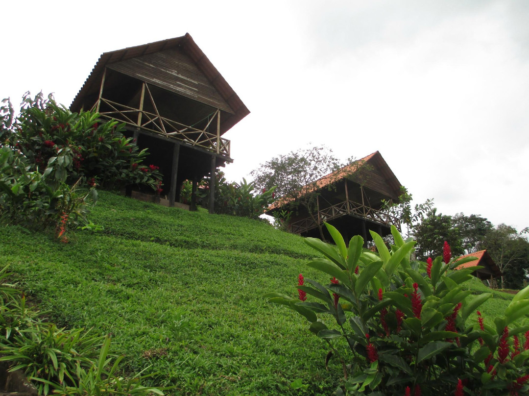 Hotel Lago Lindo