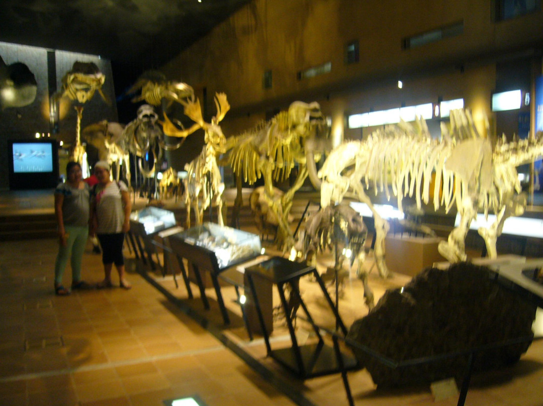 Kitakyushu Museum of Natural History & Human History-北九州市必去景点