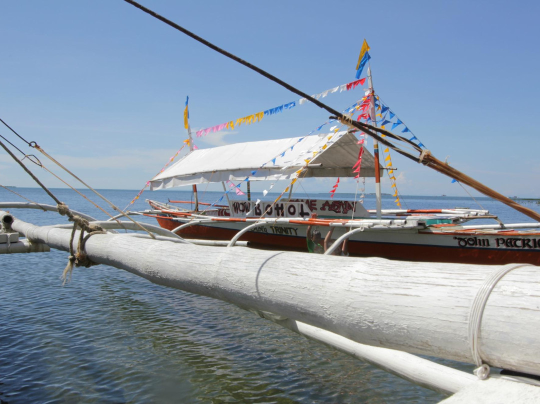 Holy Trinity Pension House & Resort主图