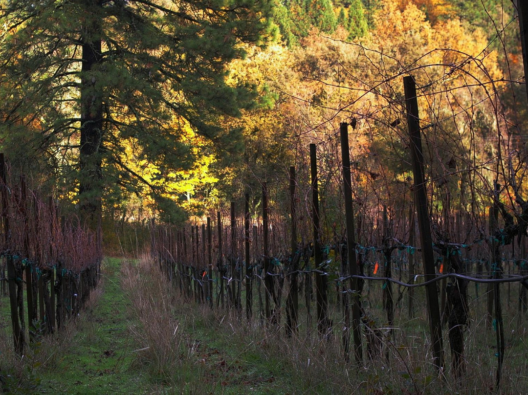 Clos Saron-Oregon House必去景点