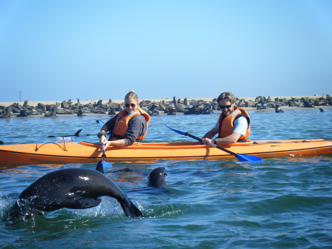 Pelican Point Kayaking景点图片
