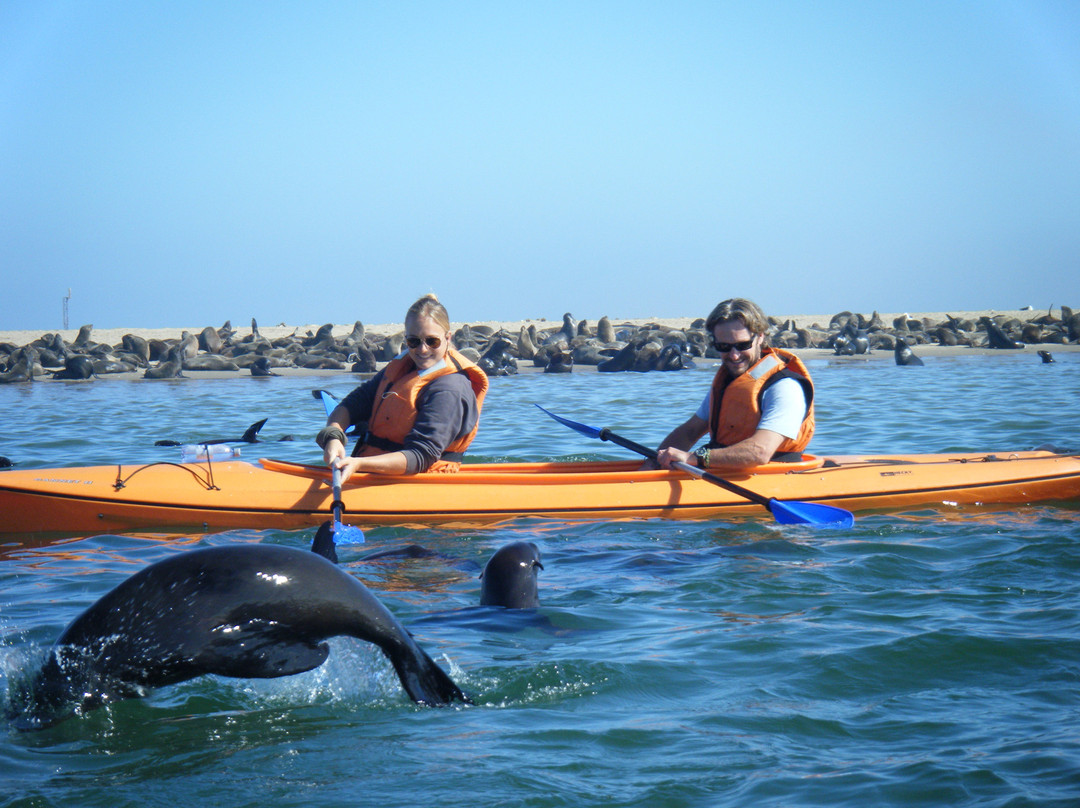  Discover the Thrills of St Pete Kayaking: Your Ultimate Guide to Paddling Paradise