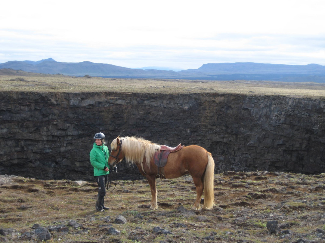 Lava Horses-胡萨维克必去景点