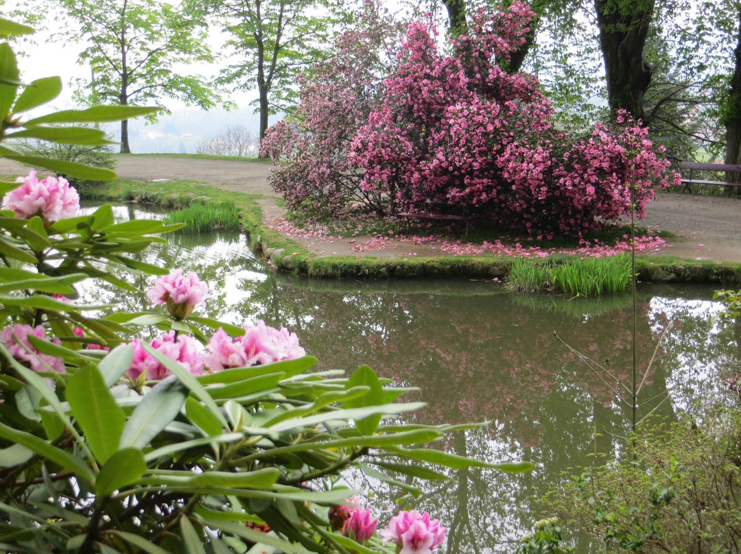 Parco della Burcina景点图片