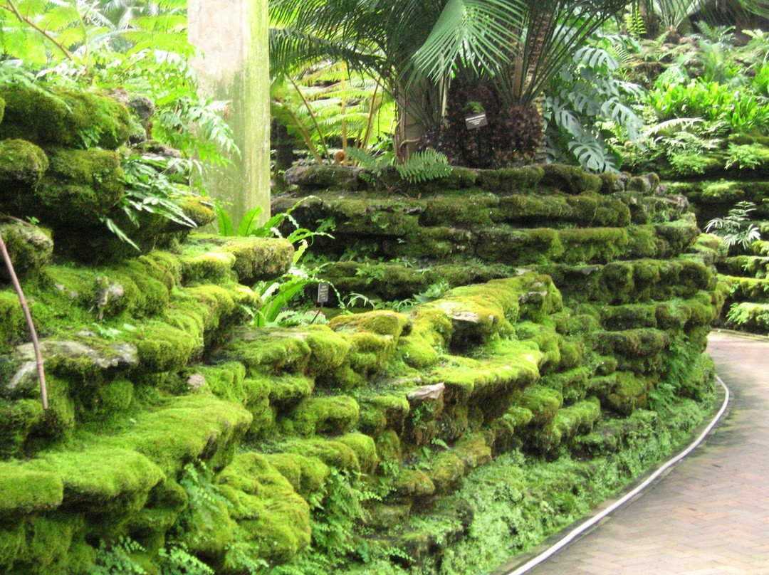 加菲尔植物园-芝加哥必去景点