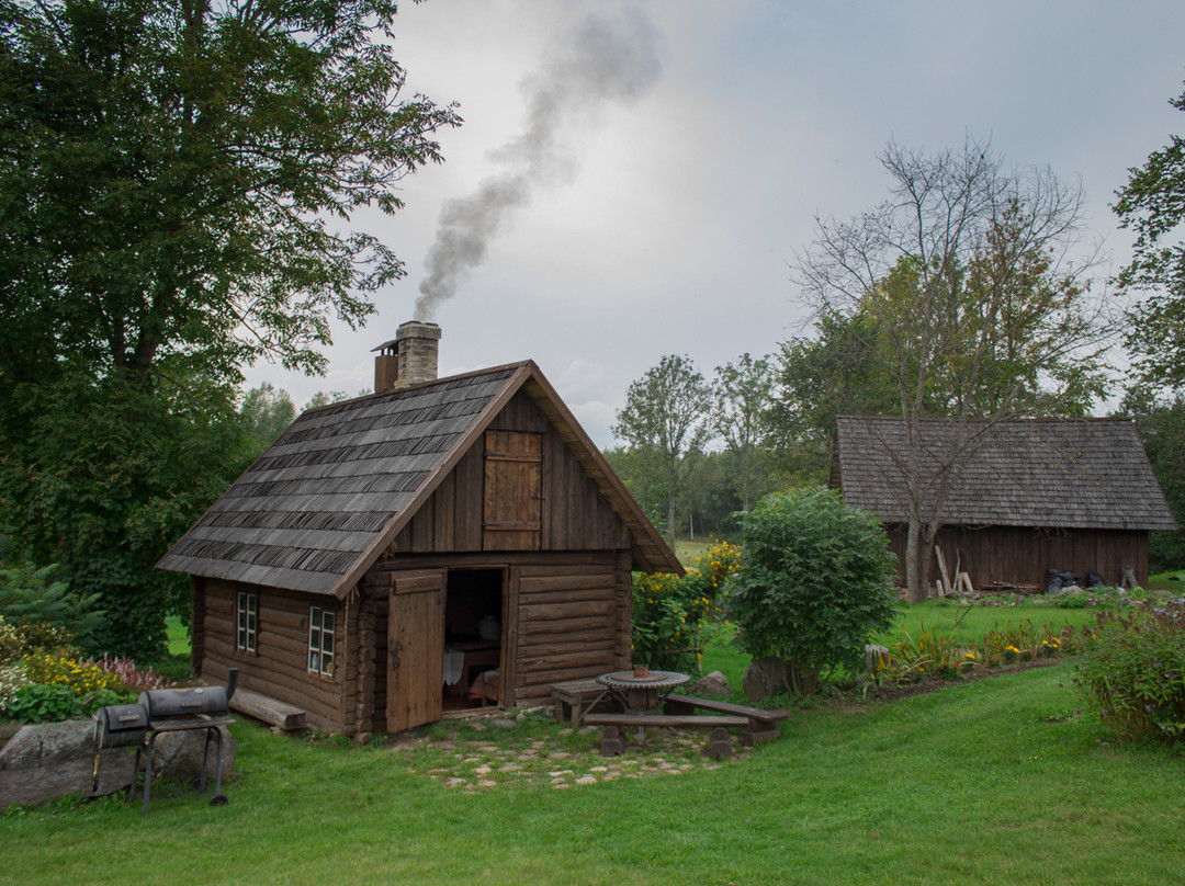 Kiisatamme Farm