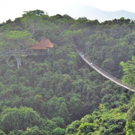 三亚亚龙湾人间天堂-鸟巢度假村主图