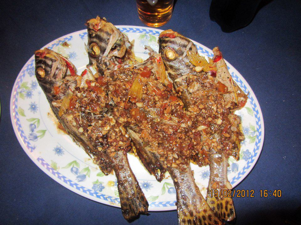 Chariot Guest House主图