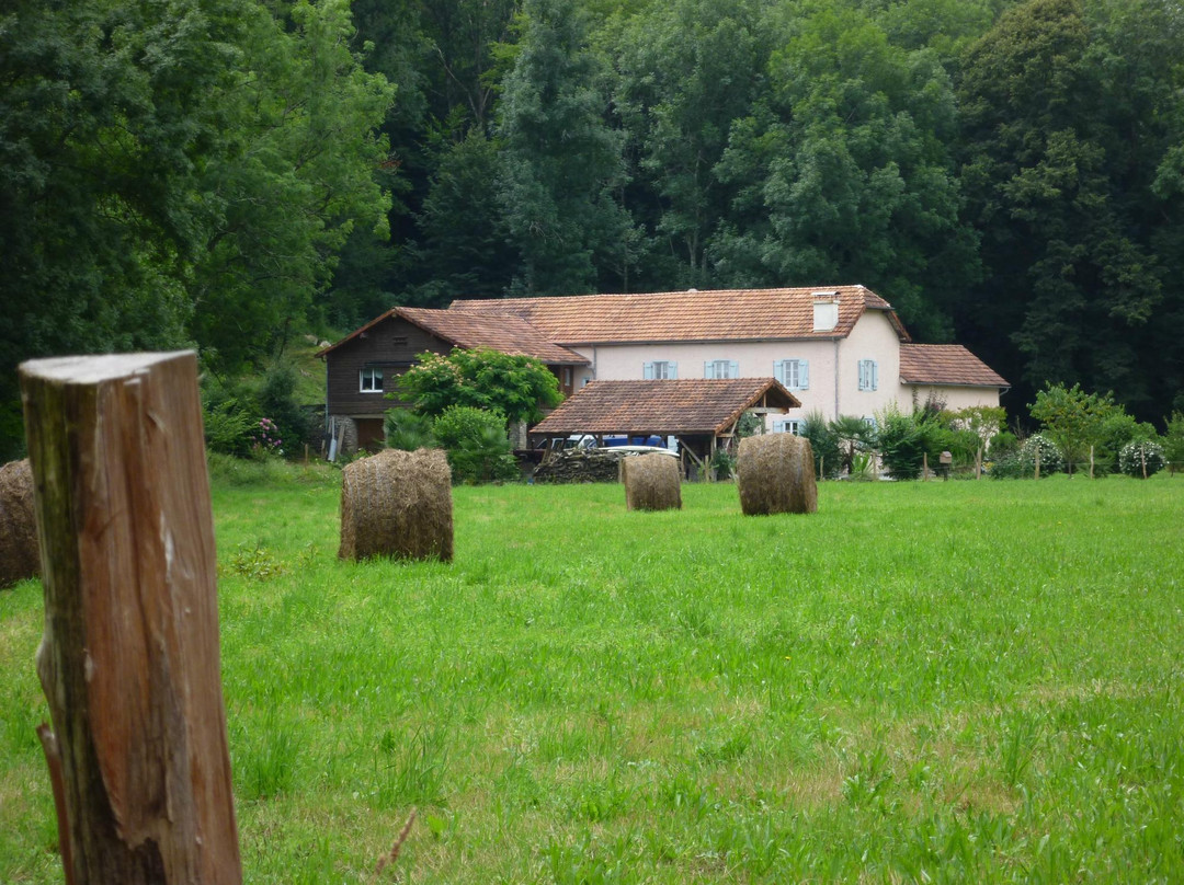 Moulin du val rose主图