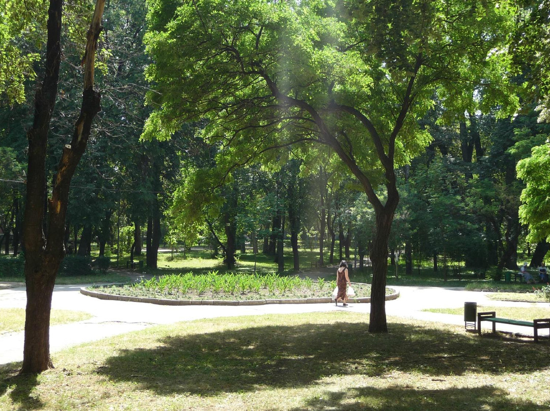 Parcul Alunelul-基希讷乌必去景点