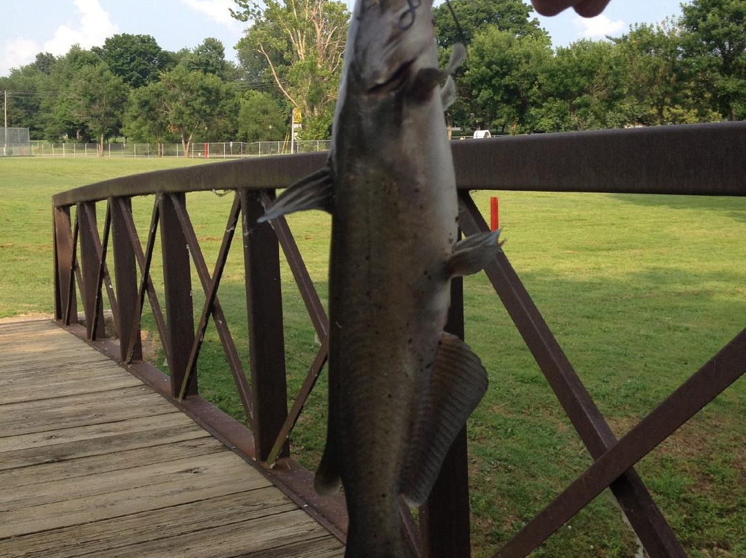 Basil Griffin Park-鲍灵格林必去景点