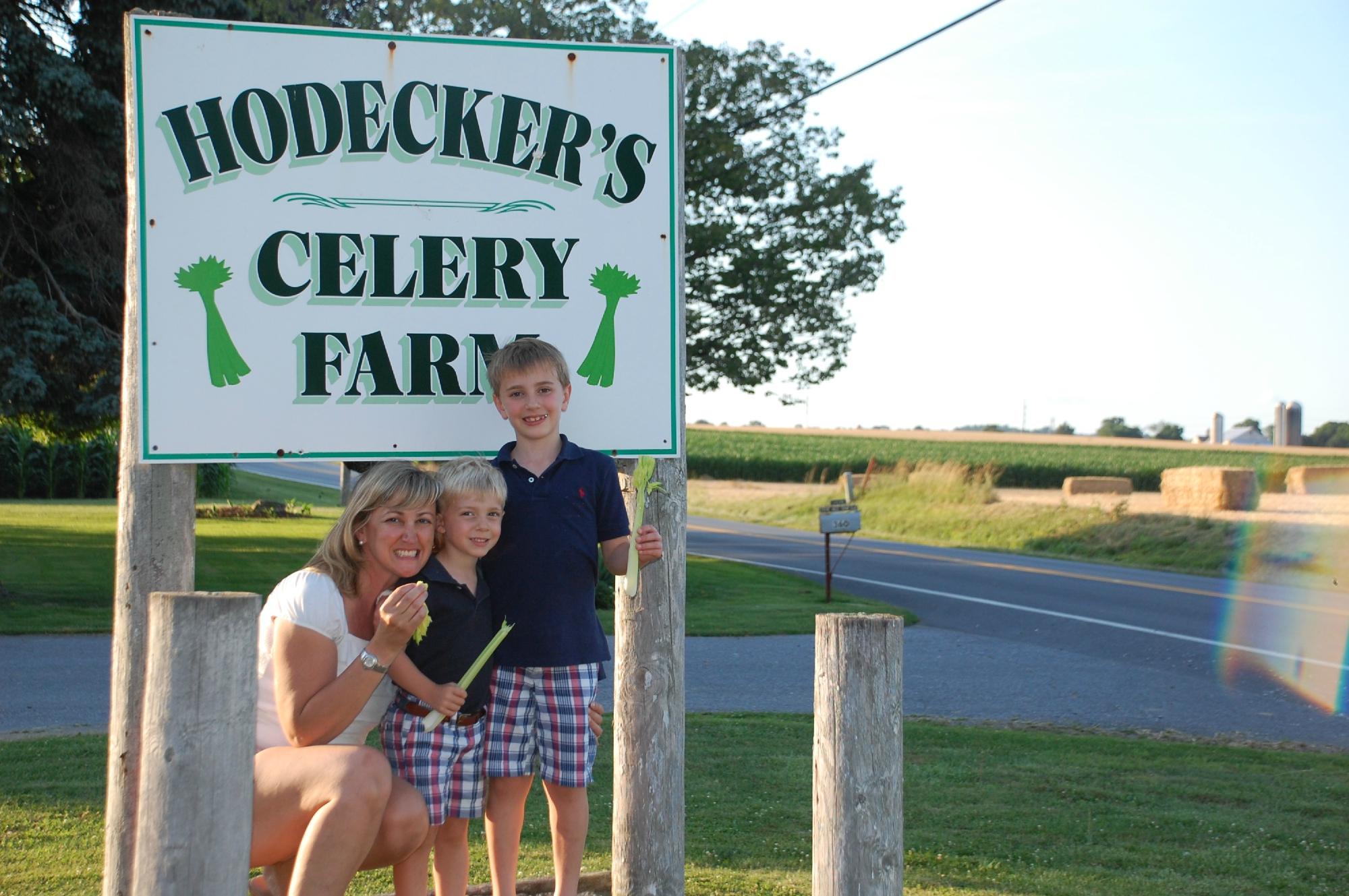 Stone Haus Farm Bed and Breakfast-客卧