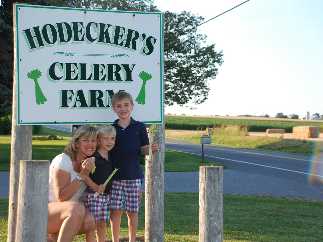 Stone Haus Farm Bed and Breakfast主图