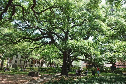 Old City Walks-萨凡纳必去景点