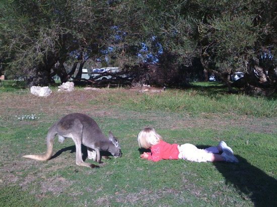 Bunbury Wildlife Park-班伯利必去景点