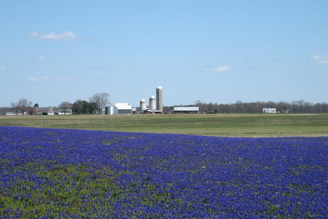 Crow Farmstay B&B主图