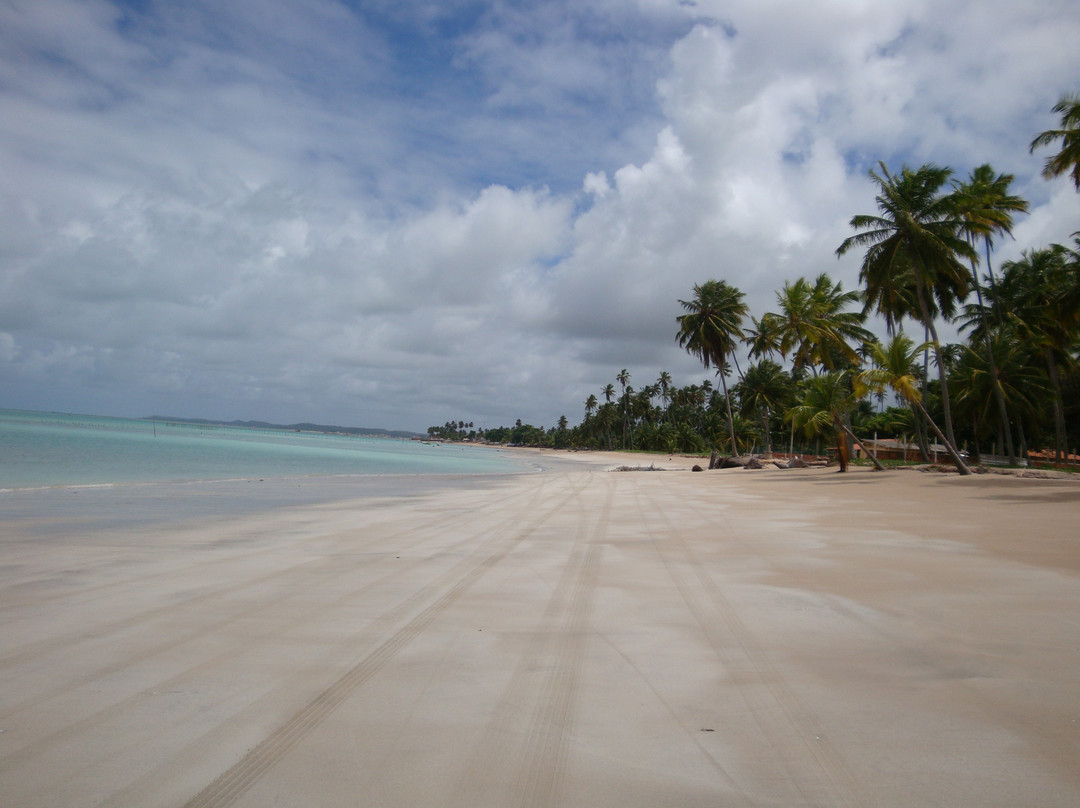 Praia Ponta de Mangue-Maragogi必去景点