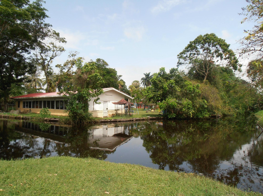 Guyana Botanical Gardens景点图片