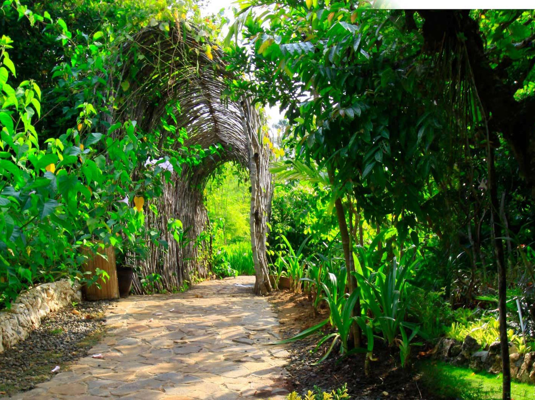 Philippine Tarsier Recreation Inc.-塔拉瓦环礁必去景点