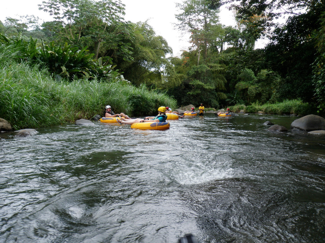 Adventure Tours Grenada - Caribbean-St. George's必去景点