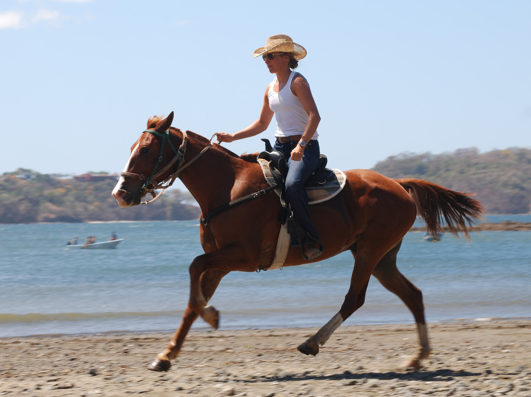 Casagua Horses Tours景点图片